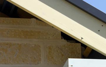 soffit repair Tre Forgan